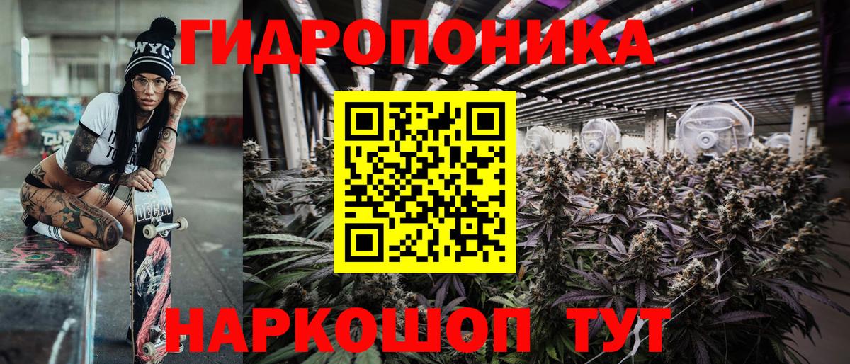 Марихуана гибрид  Марихуана семена  Вход с VPN  Горячий Ключ  Конопля OG Kush 